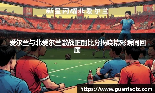爱尔兰与北爱尔兰激战正酣比分揭晓精彩瞬间回顾