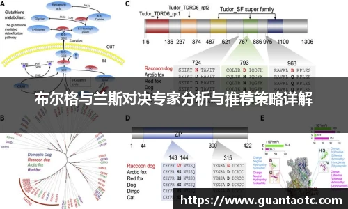 BD半岛官方网站